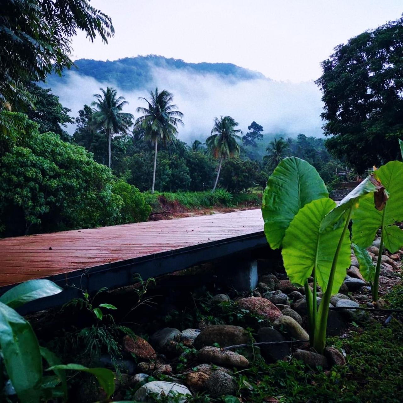 The Creek Haus Bed & Breakfast Lan Saka Exterior photo